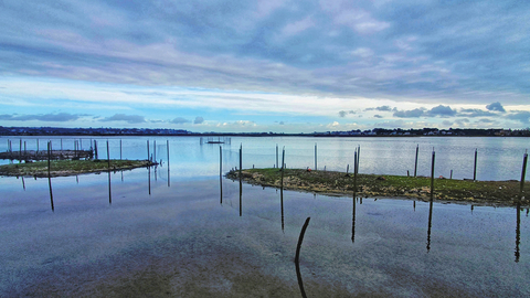 Brownsea lagoon