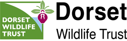 Home | Dorset Wildlife Trust