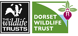 Standard membership form | Dorset Wildlife Trust