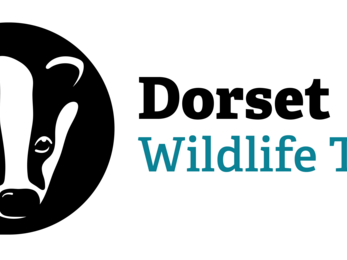 Dorset Wildlife Trust