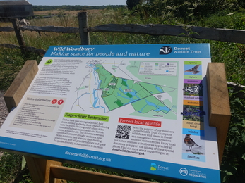 Wild Woodbury interpretation board 