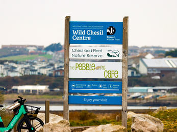 Wild Chesil Centre  