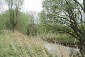 Mill Ham Island Nature Reserve