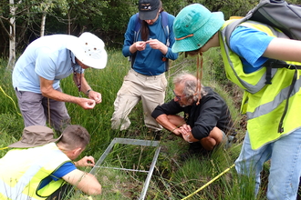 Vegetation surveying