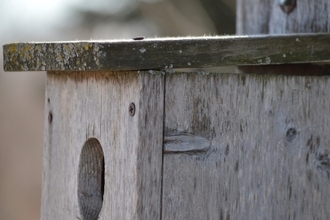 Nesting box on post