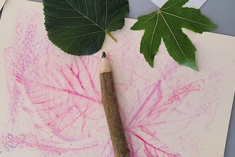 Pencil with leaves