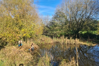 Brooklands Farm pond restoration