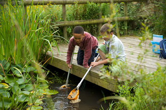 Two children on a wooden platform dipping nets into a pond which is surrounded by lush vegetation.