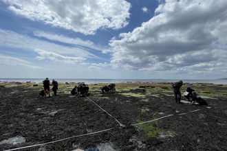 A photo showing a group of volunteers carrying out a survey on the seashore at low tide.