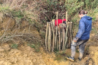 Analogue beaver dam at Wild Woodbury