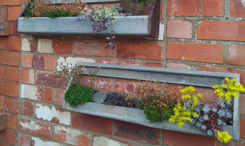 gardening in a small space