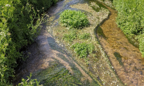 Chalk stream 