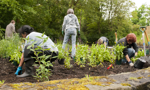 Community garden