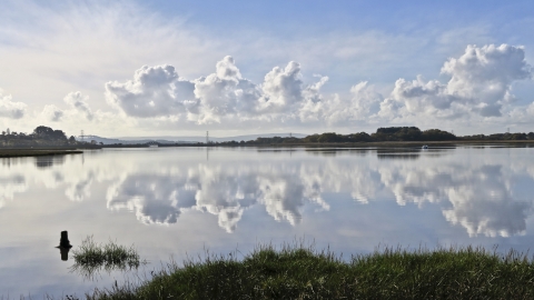 Lytchett Bay DWT/ARC Nature Reserve