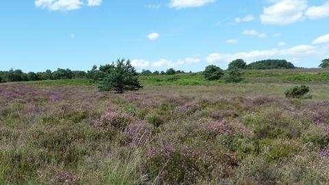 Higher Hyde Heath © James Hitchen