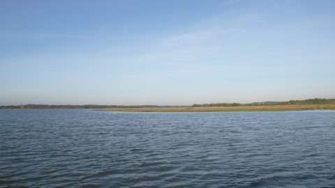 Lytchett Bay | Dorset Wildlife Trust