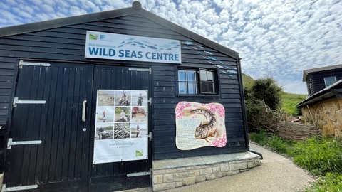 An image of the Wild Seas Centre