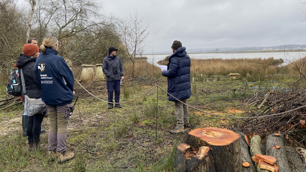 The Lookout - a stunning new wildlife observatory on Brownsea Island ...