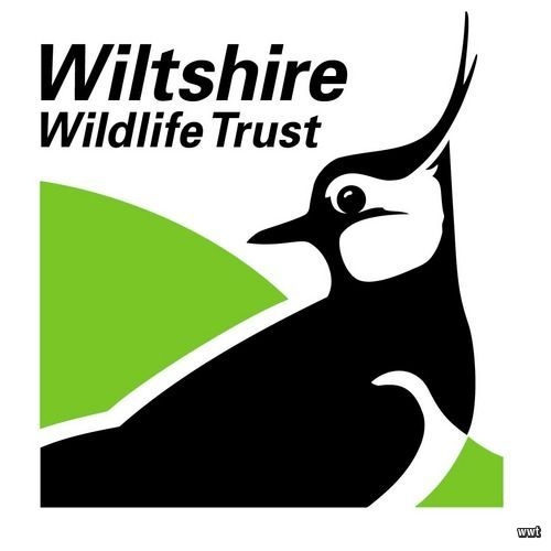 Wild Paths | Dorset Wildlife Trust