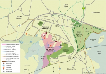 Lytchett Bay | Dorset Wildlife Trust