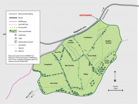 South Poorton | Dorset Wildlife Trust