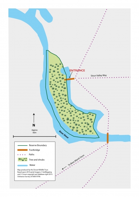 Mill Ham Island Nature Reserve