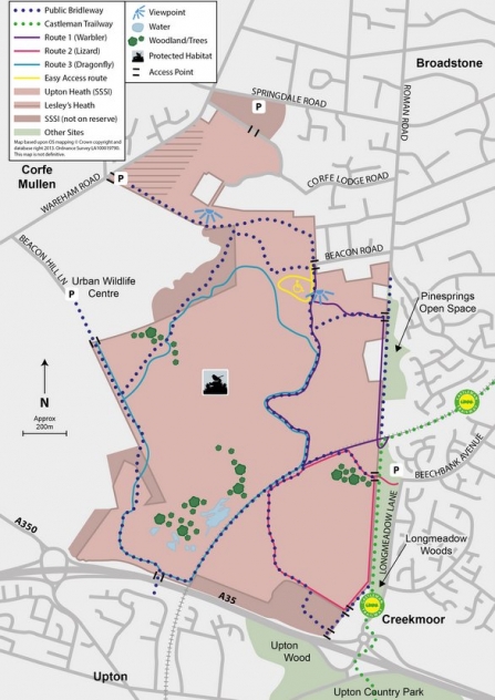 Upton Heath Nature Reserve, nr Upton, Poole, Dorset | Dorset Wildlife Trust