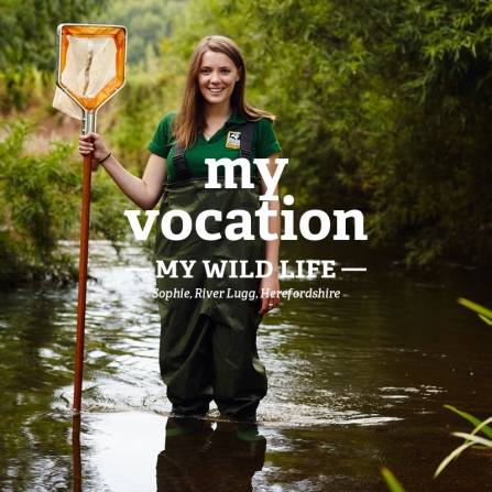 Sophie standing in a river with a net