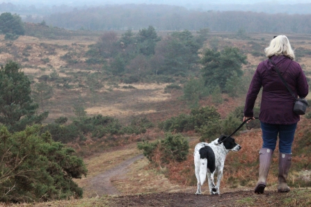 Dog walking © Joey Cooke