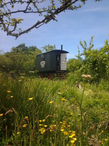 Living Van at The Kingcombe Centre 