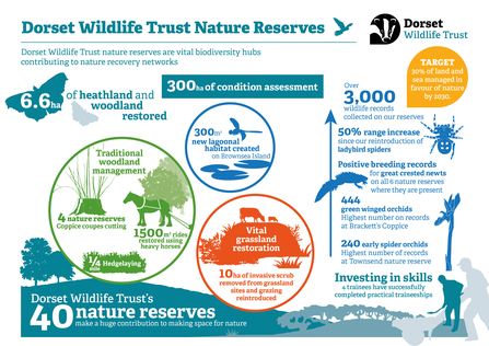 Annual Review Reserves Infographic