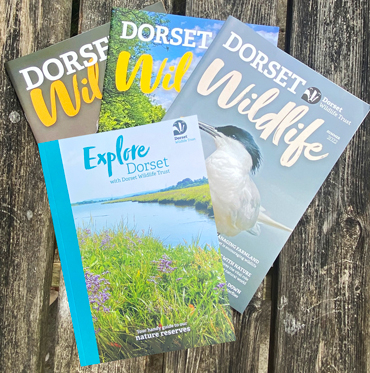 Become a member | Dorset Wildlife Trust