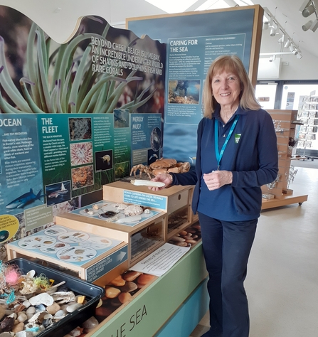 Wild Chesil Centre volunteer Sue Frazer