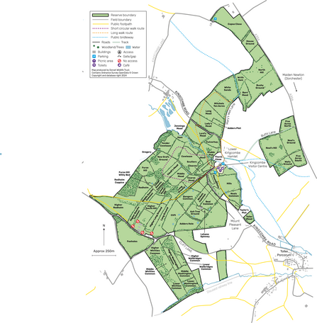 Kingcombe map August 2024