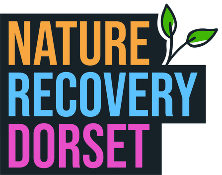 Nature Recovery Dorset logo