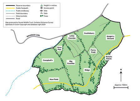 South Poorton map