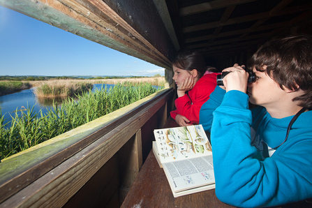 Bird id book