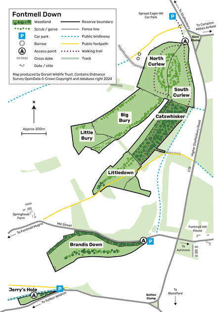 Fontmell Down nature reserve map 2024