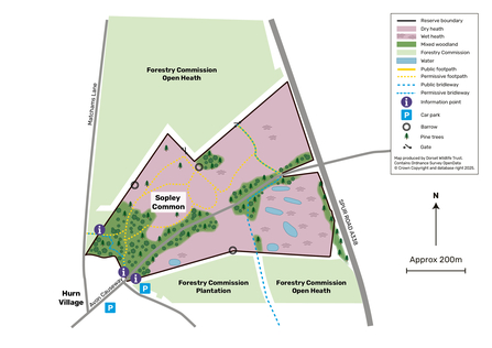 Sopley Common nature reserve map 2025