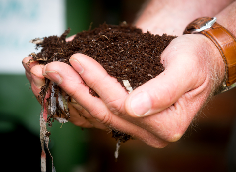 Hands holding soil